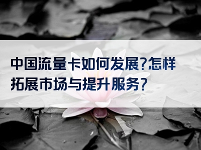 中国流量卡如何发展？怎样拓展市场与提升服务？