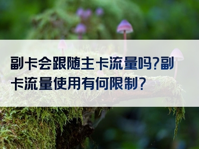 副卡会跟随主卡流量吗？副卡流量使用有何限制？