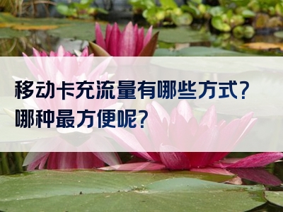移动卡充流量有哪些方式？哪种最方便呢？