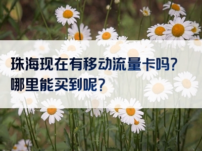 珠海现在有移动流量卡吗？哪里能买到呢？