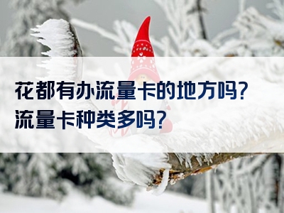 花都有办流量卡的地方吗？流量卡种类多吗？