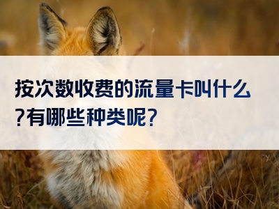 按次数收费的流量卡叫什么？有哪些种类呢？