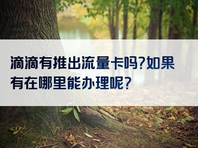 滴滴有推出流量卡吗？如果有在哪里能办理呢？