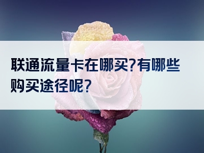 联通流量卡在哪买？有哪些购买途径呢？