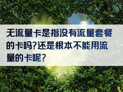 无流量卡是指没有流量套餐的卡吗？还是根本不能用流量的卡呢？