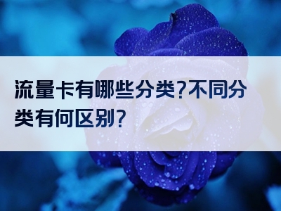 流量卡有哪些分类？不同分类有何区别？