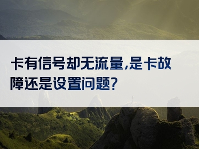 卡有信号却无流量，是卡故障还是设置问题？