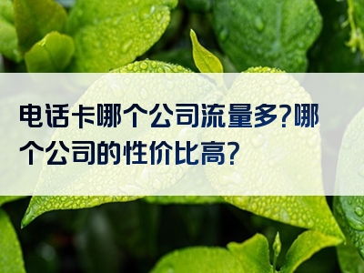 电话卡哪个公司流量多？哪个公司的性价比高？
