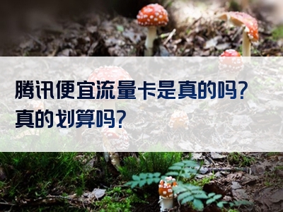 腾讯便宜流量卡是真的吗？真的划算吗？