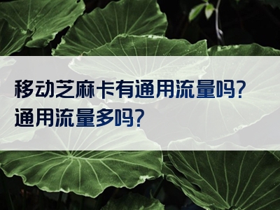 移动芝麻卡有通用流量吗？通用流量多吗？