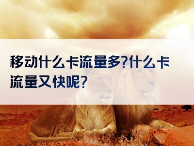 移动什么卡流量多？什么卡流量又快呢？