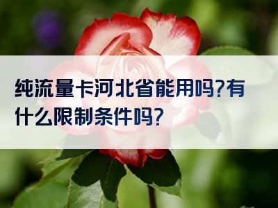 纯流量卡河北省能用吗？有什么限制条件吗？