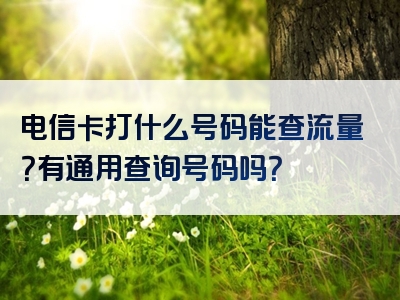 电信卡打什么号码能查流量？有通用查询号码吗？