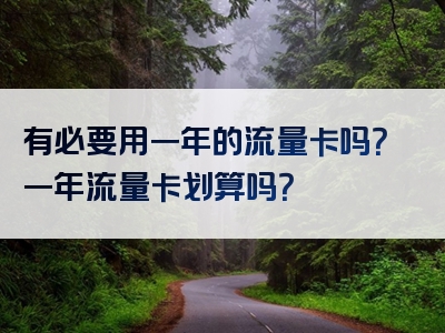 有必要用一年的流量卡吗？一年流量卡划算吗？