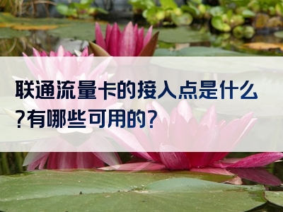 联通流量卡的接入点是什么？有哪些可用的？