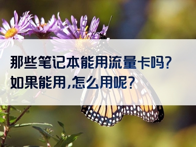 那些笔记本能用流量卡吗？如果能用，怎么用呢？