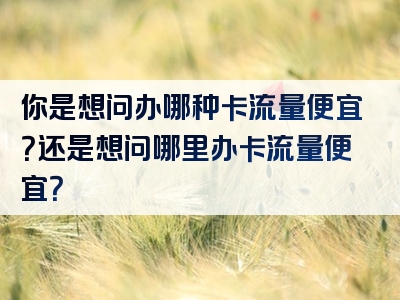 你是想问办哪种卡流量便宜？还是想问哪里办卡流量便宜？