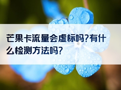 芒果卡流量会虚标吗？有什么检测方法吗？