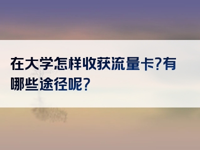 在大学怎样收获流量卡？有哪些途径呢？