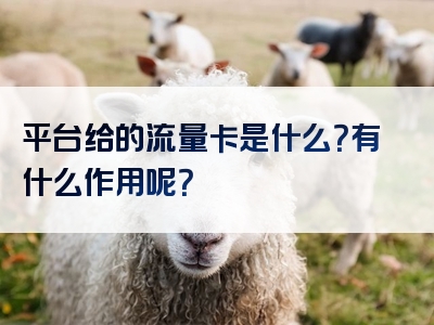 平台给的流量卡是什么？有什么作用呢？