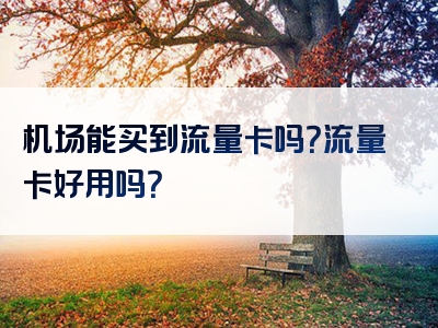 机场能买到流量卡吗？流量卡好用吗？