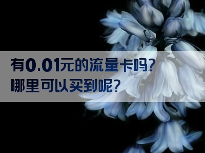 有0.01元的流量卡吗？哪里可以买到呢？