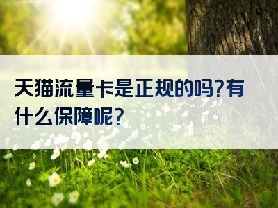 天猫流量卡是正规的吗？有什么保障呢？