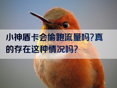 小神盾卡会偷跑流量吗？真的存在这种情况吗？