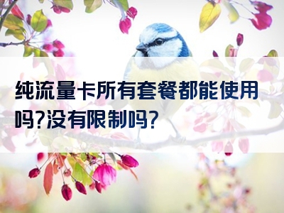 纯流量卡所有套餐都能使用吗？没有限制吗？